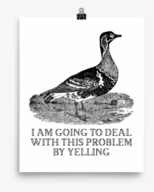 Yelling Poster   Srcset Data - Effin Birds Yelling, HD Png Download, Transparent PNG